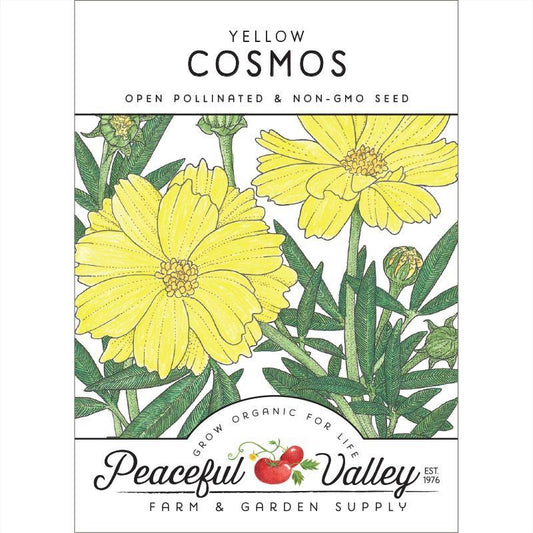 Cosmos, Yellow (pack)