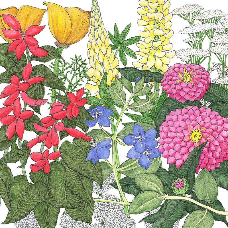 Deer Proof Garden Wildflower Mix (lb)