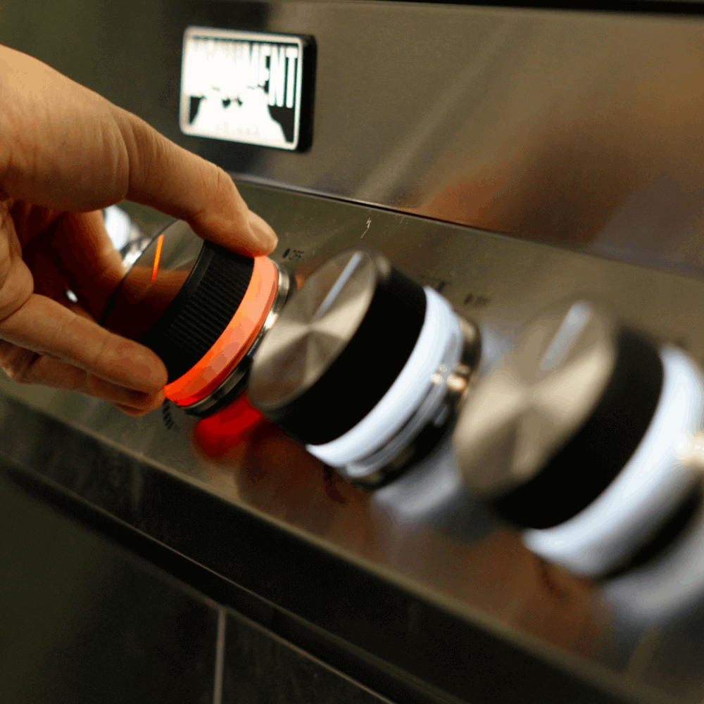 Denali 405 | Stainless Smart Tech Propane Gas Grill