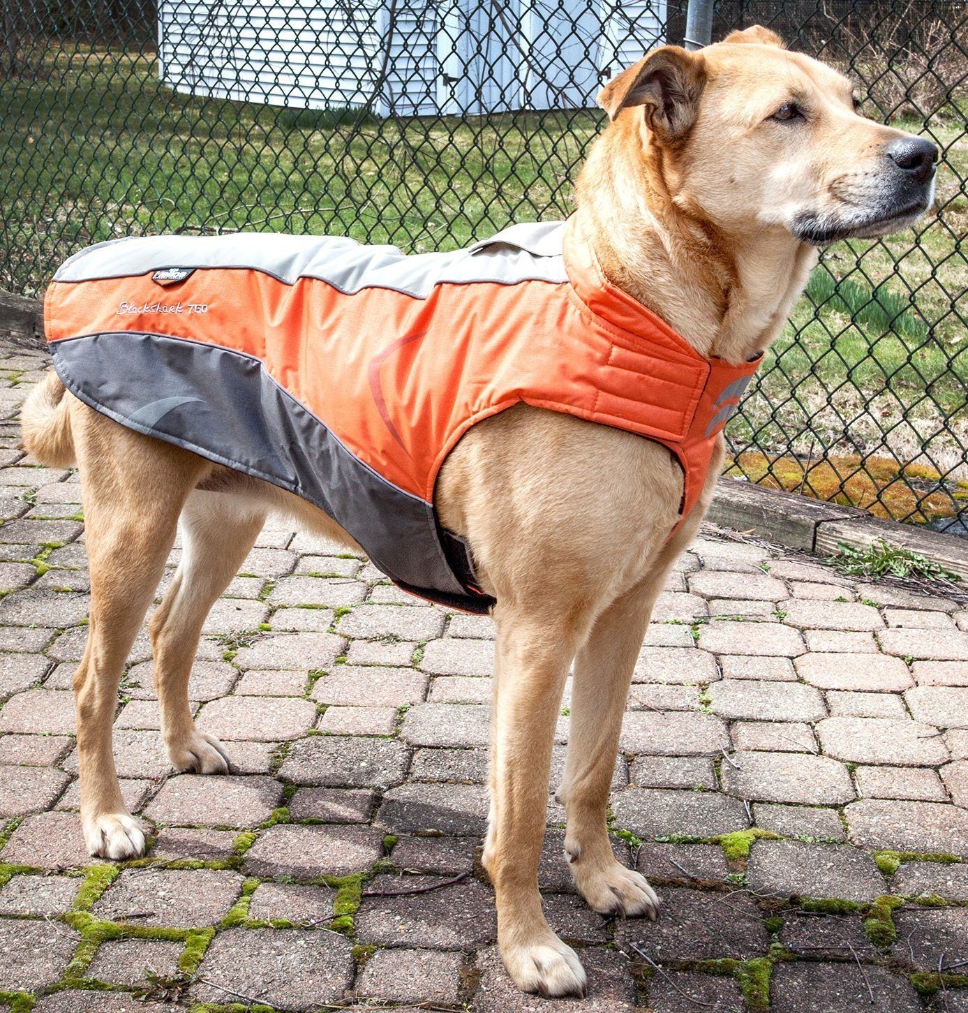 Dog Helios ® Altitude-Mountaineer Wrap-Hook-and-Loop Waterproof Dog Coat