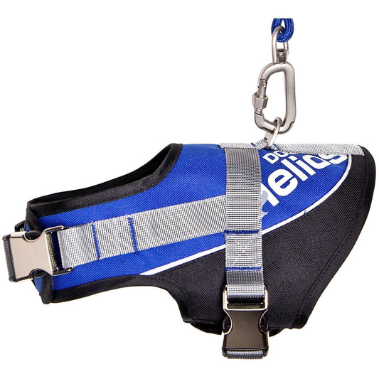 Dog Helios ® 'Bark-Mudder' 2-in-1 Reflective and Adjustable Sporty Dog Harness and Leash