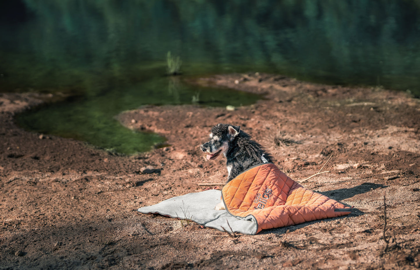 Dog Helios ® 'Boulder-Trek' 3-in-1 Expandable Surface Outdoor Travel Camping Dog Mat