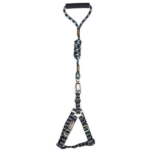 Dog Helios 'Surfside' Adjustable Dog Harness and Leash