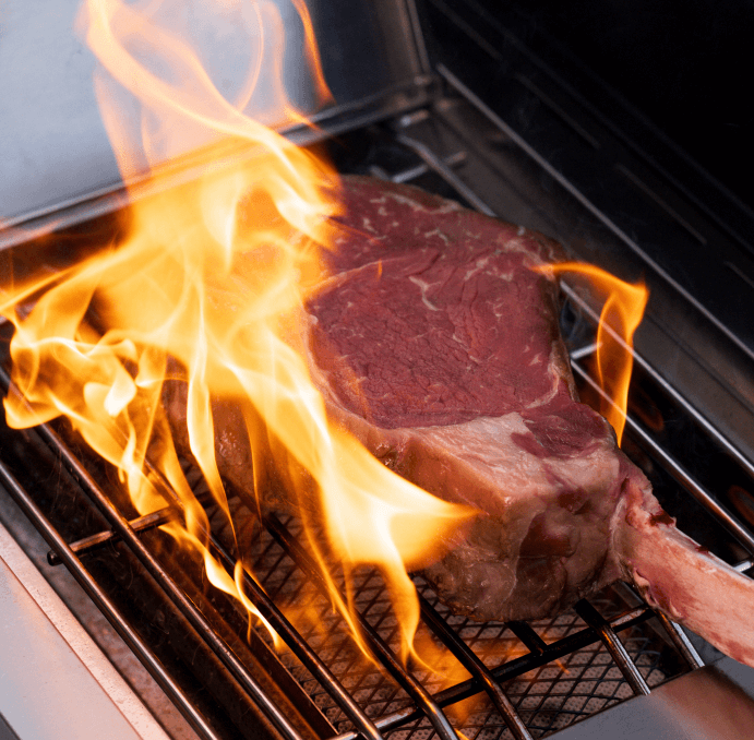 Eminence 405 |Chic Clearview® Smart Stainless Gas Grill