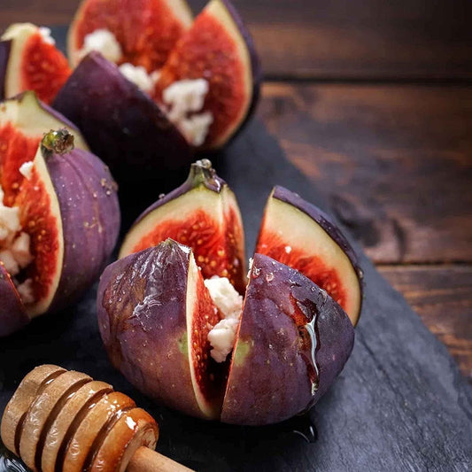 Ficus Carica Fig - 100 Seeds - Sweet Fruit Shrub Tree