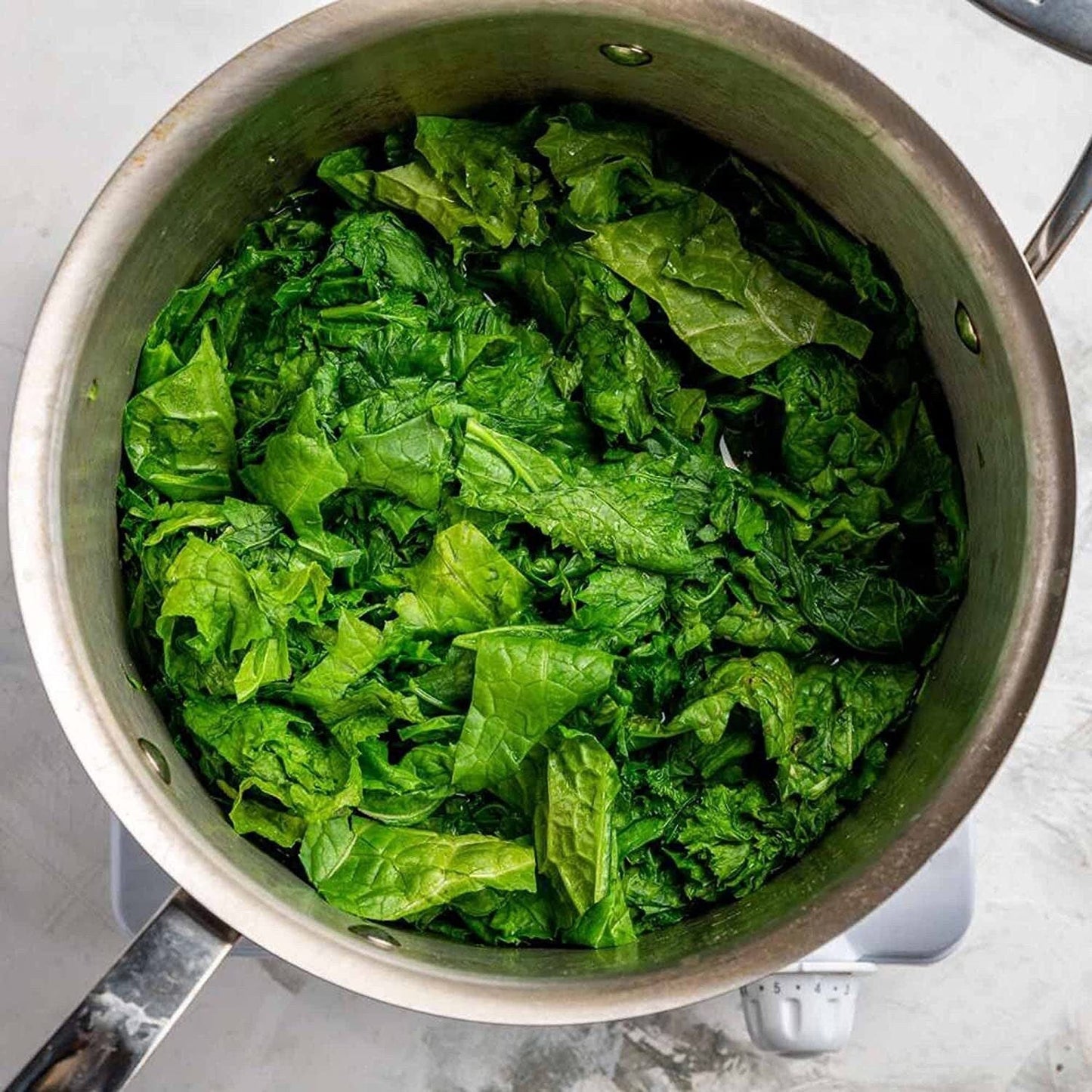 Florida Broadleaf Mustard Seeds - Fast Growing Green Vegetables Seeds - Heirloom Ci B Xanh Seed - Small GAI Choi