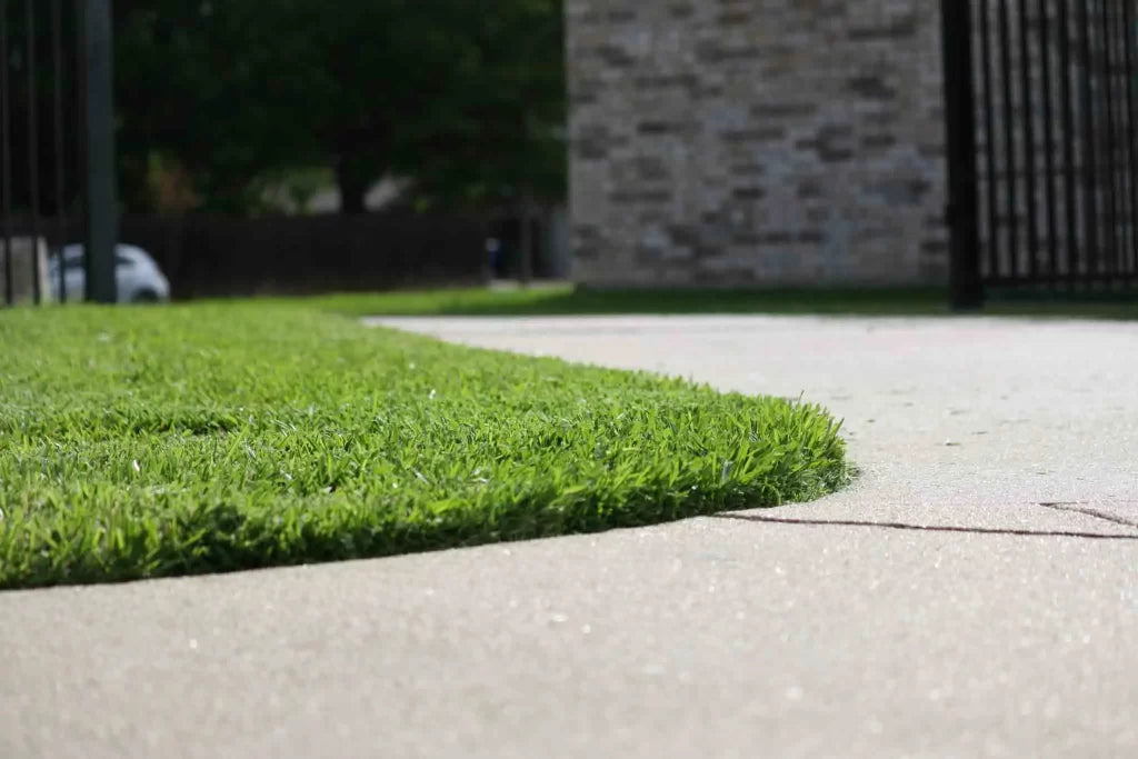 Crisp blade-cut lawn edge along a concrete walk