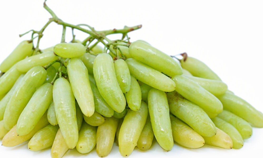 Green Finger Grape Heirloom Seeds - Vitus Vinifera - Non GMO - Tasty Sweet Fruit