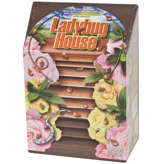 Ladybug House
