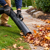 Spring & fall cleanups