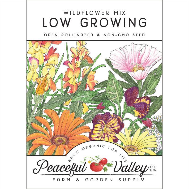 Low Growing Wildflower Mix (pack)