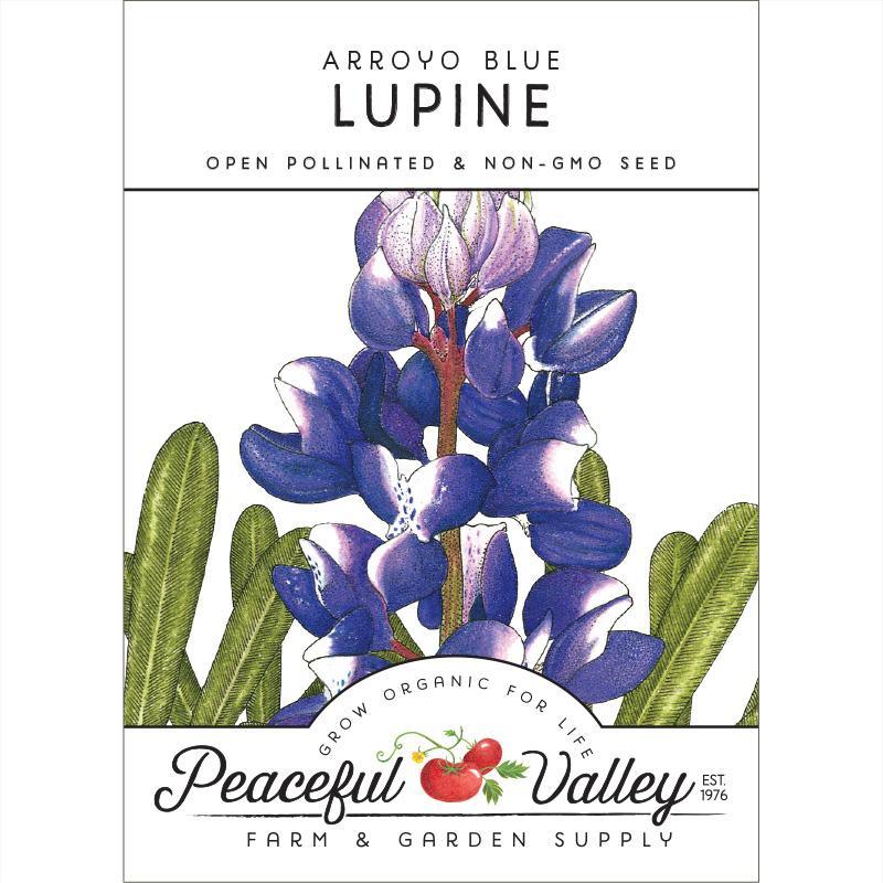 Lupine, Arroyo Blue (pack)