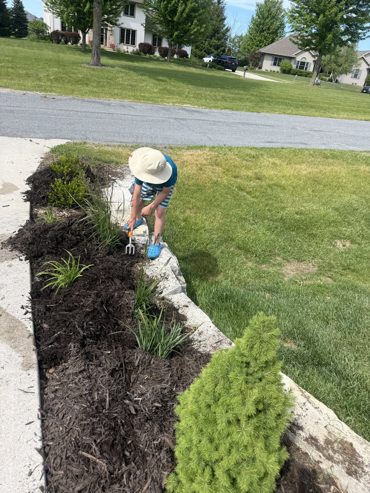 Weeding a landscape bed by hand before fresh mulch goes down