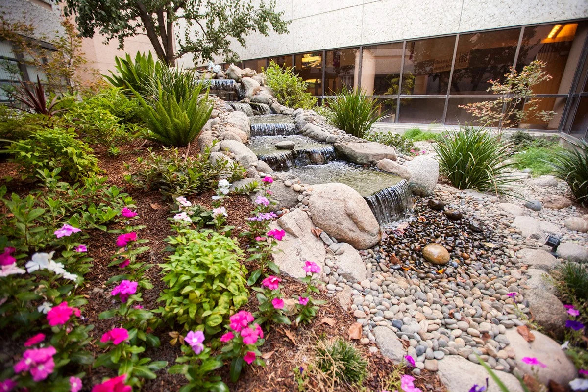 Landscaped courtyard with a stone water feature and flower beds outside a medical office building