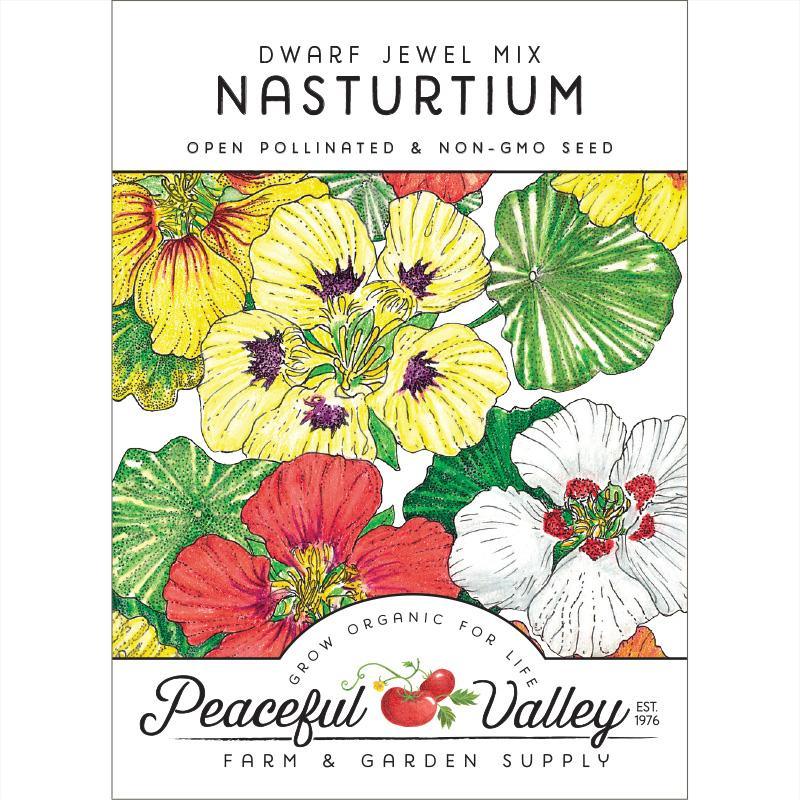 Nasturtium, Dwarf Jewel Mix (pack)