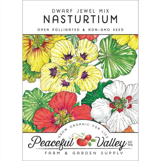 Nasturtium, Dwarf Jewel Mix (pack)