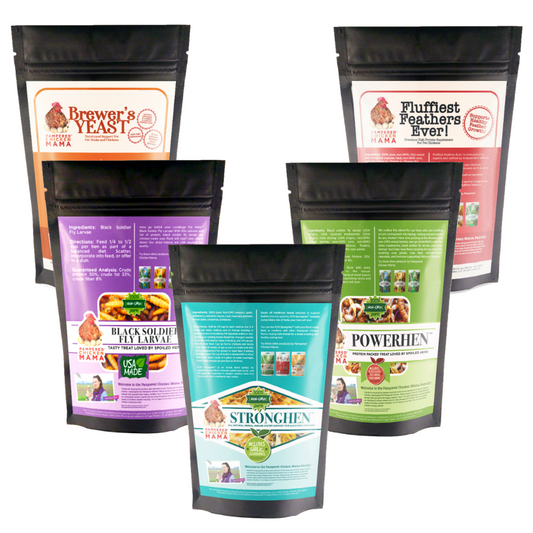 New Years Powerhouse Bundle