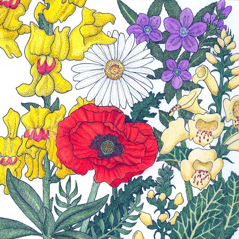 North American Shade Wildflower Mix (1/4 lb)