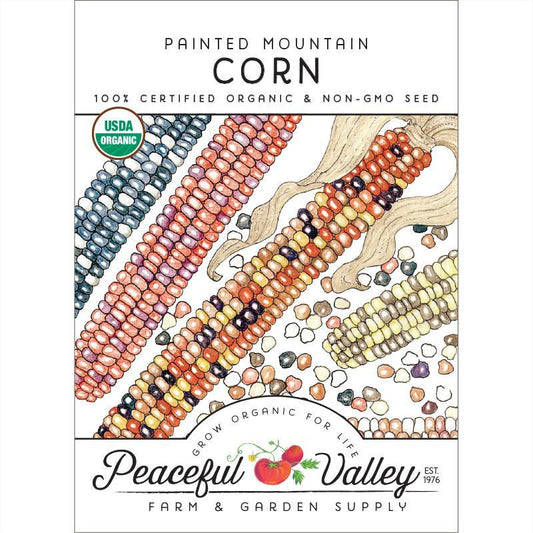 Painted Mountain Corn Seeds (Organic)