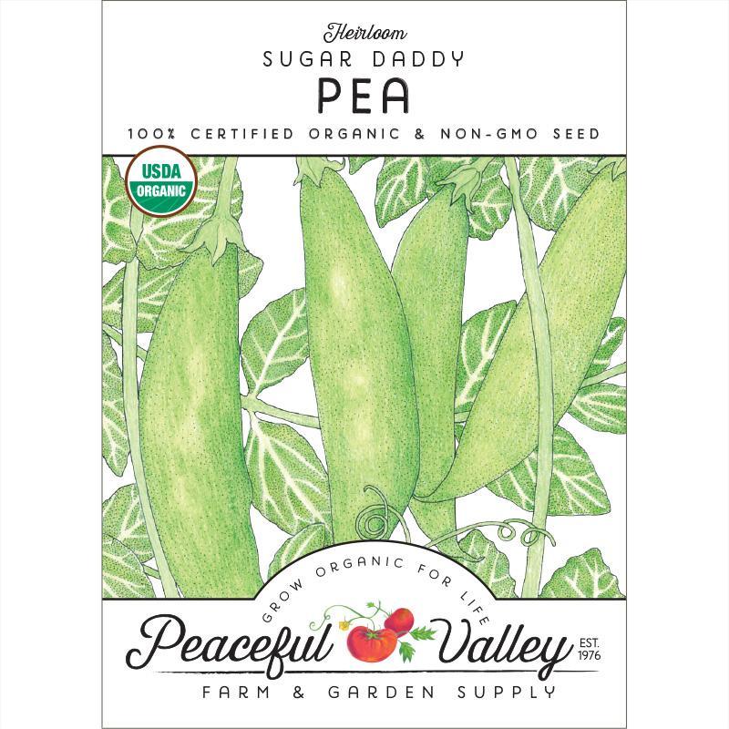 Sugar Daddy Pea Seeds (Organic)