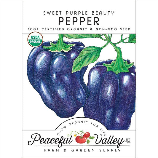 Purple Beauty Sweet Pepper Seeds (Organic)