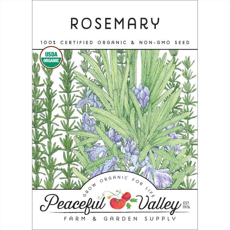 Rosemary Seeds (Organic)