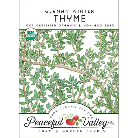 Thyme, German Winter (Organic)