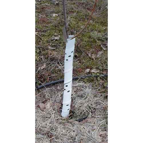 Spiral Tree Guards - 36" (Pack of 5)