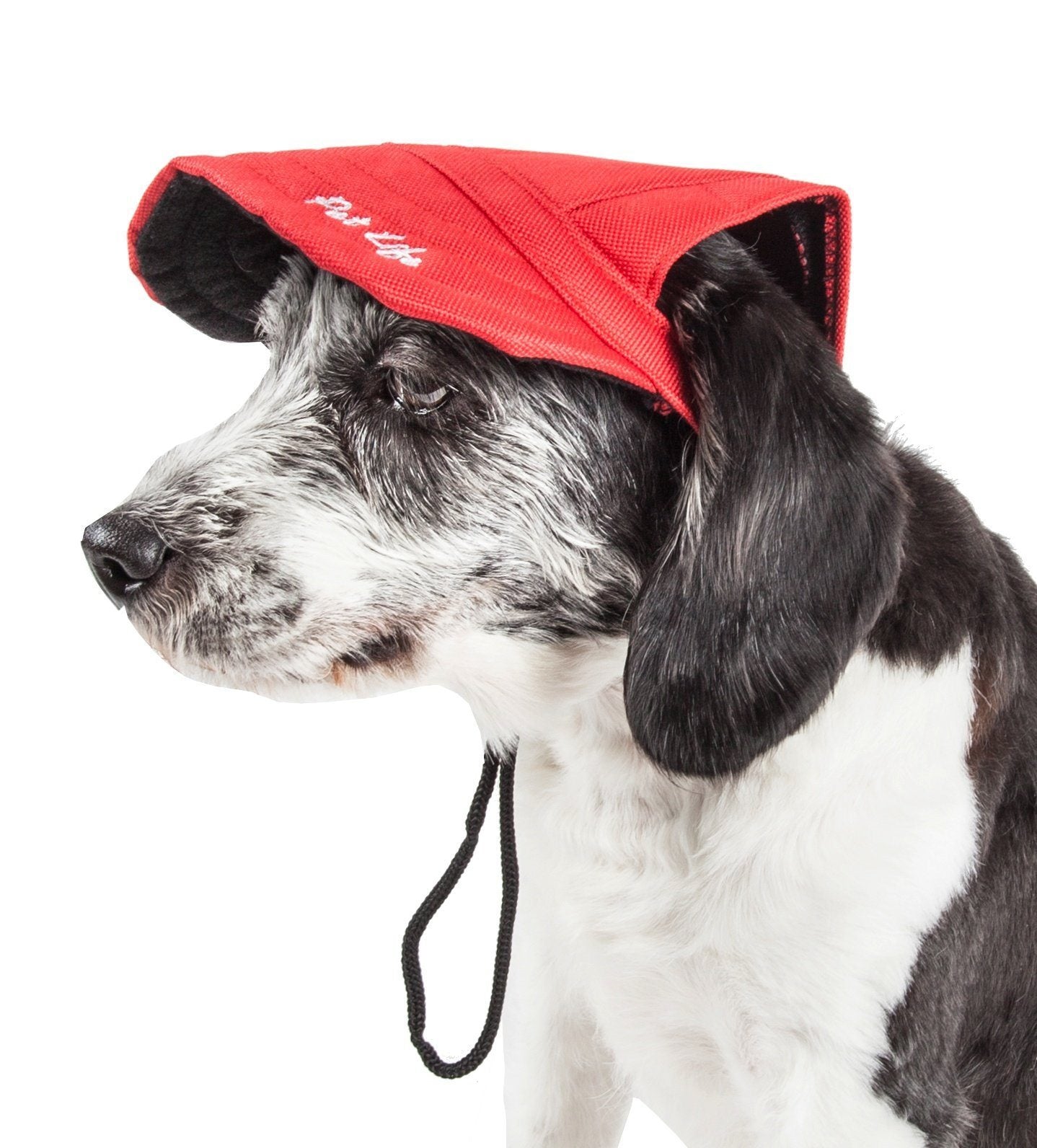 Pet Life ®  'Cap-Tivating' UV Protectant Adjustable Fashion Dog Hat Cap