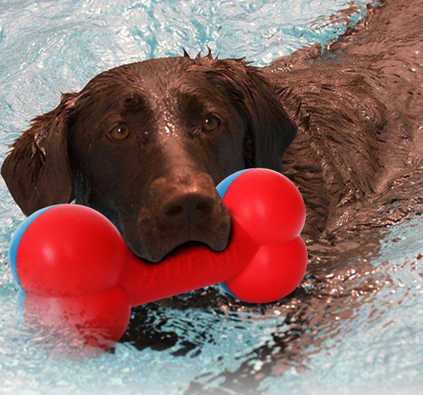 Pet Life ® 'Denta-Bone' TPR Durable Waterproof Floating Dog Toy