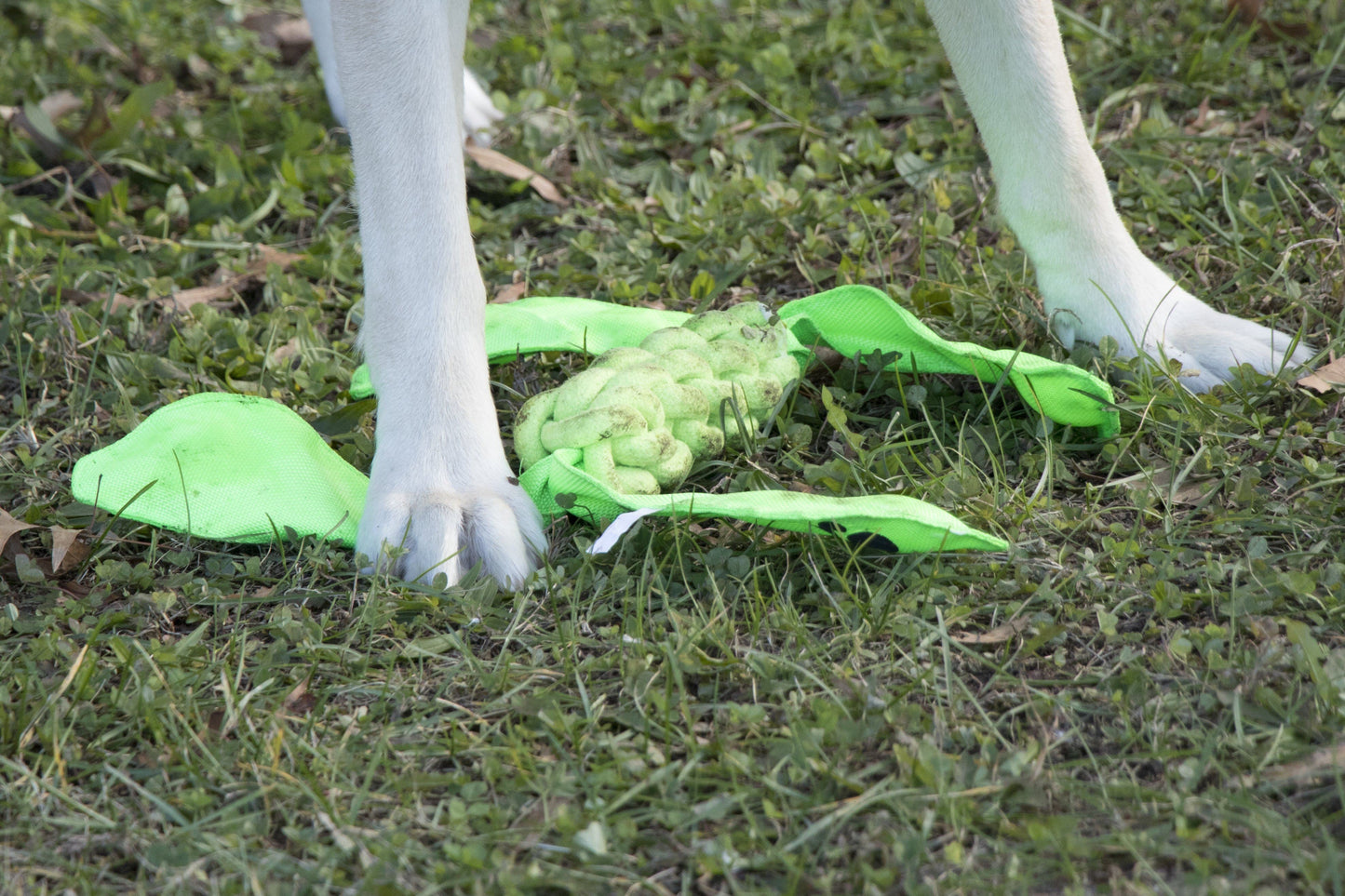 Pet Life ® 'Extreme Twist' Sporty Tugging Jute and Squeak Dog Toy