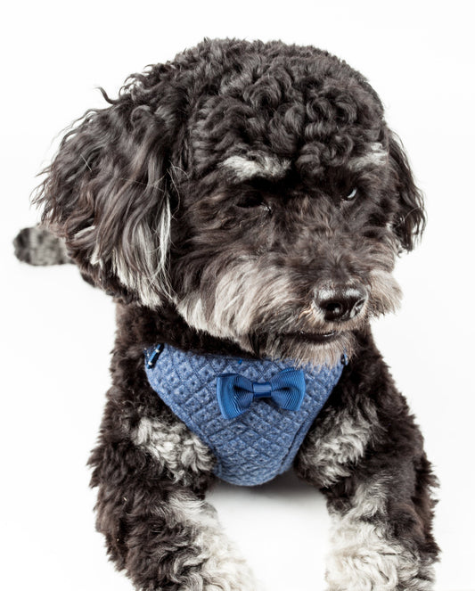 Pet Life ®  'Flam-Bowyant' Mesh Reversed and Adjustable Dog Harness