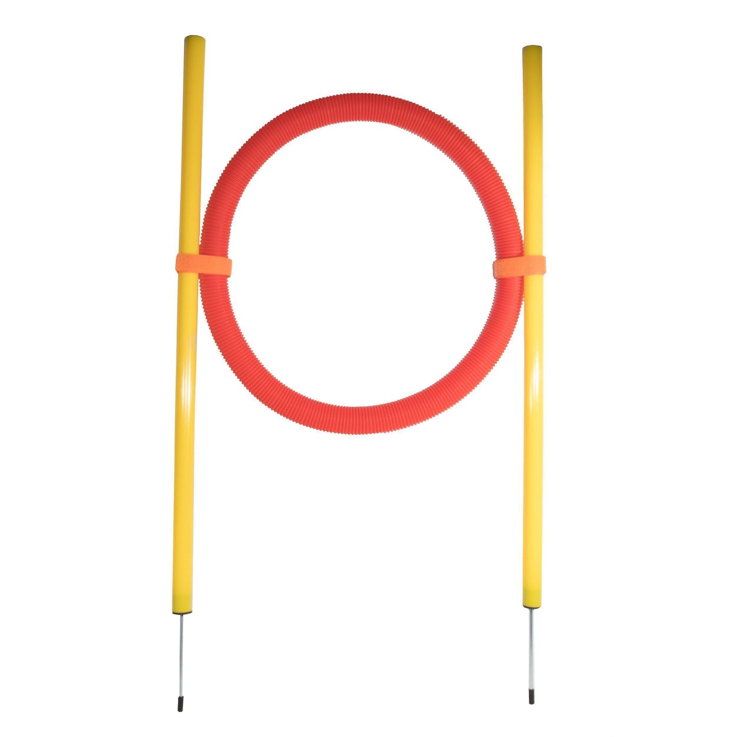 Pet Life ® 'Hoop Hopper' Collapsible Travel Folding Outdoor Performance Agility Pet Dog Trainer Training Kit