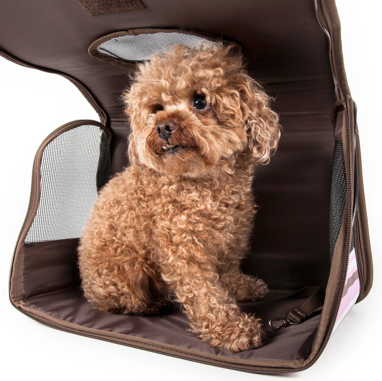 Pet Life ® Paw Patterned Airline Approved Zippered Folding Collapsible Travel Pet Dog Carrier