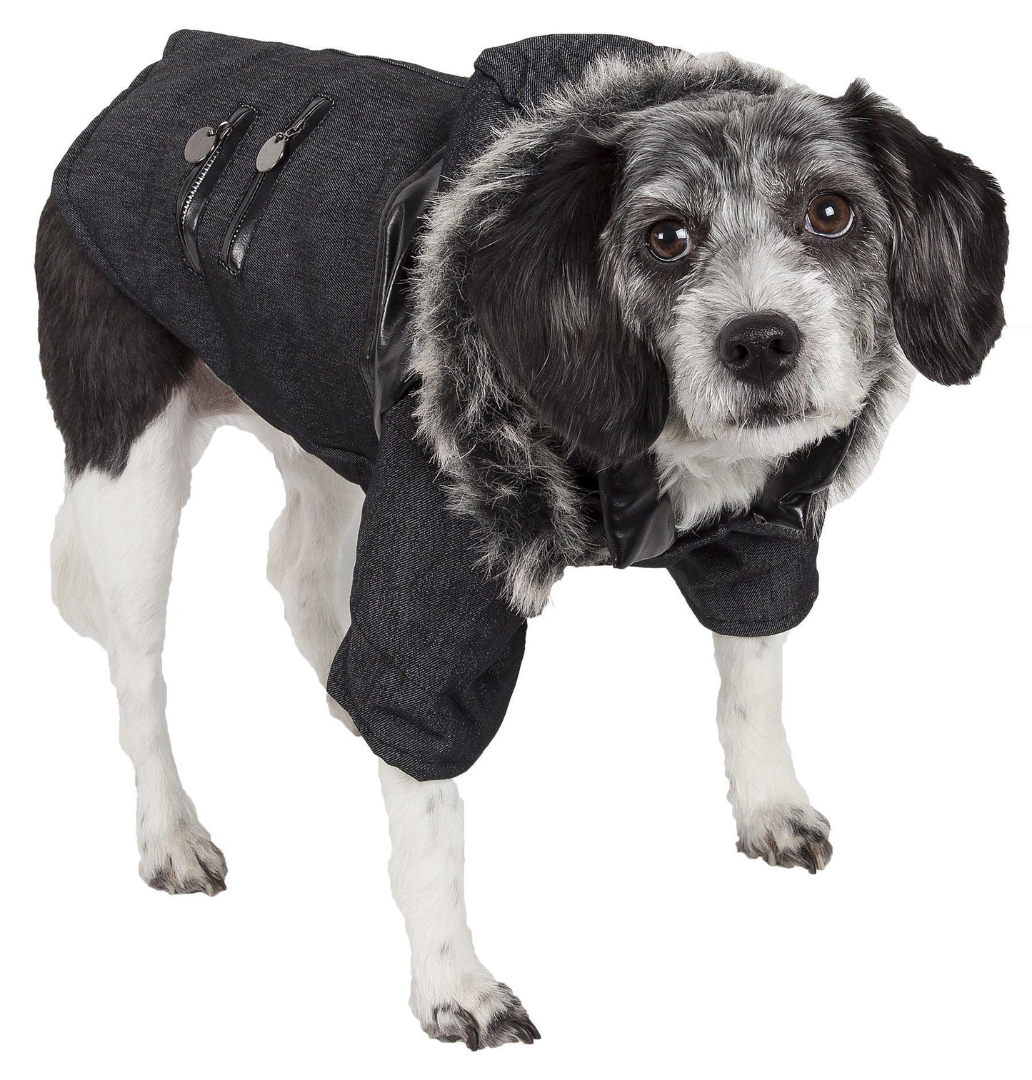 Pet Life ® 'Ruff-Choppered' Denim Fashioned Wool Dog Coat Jacket