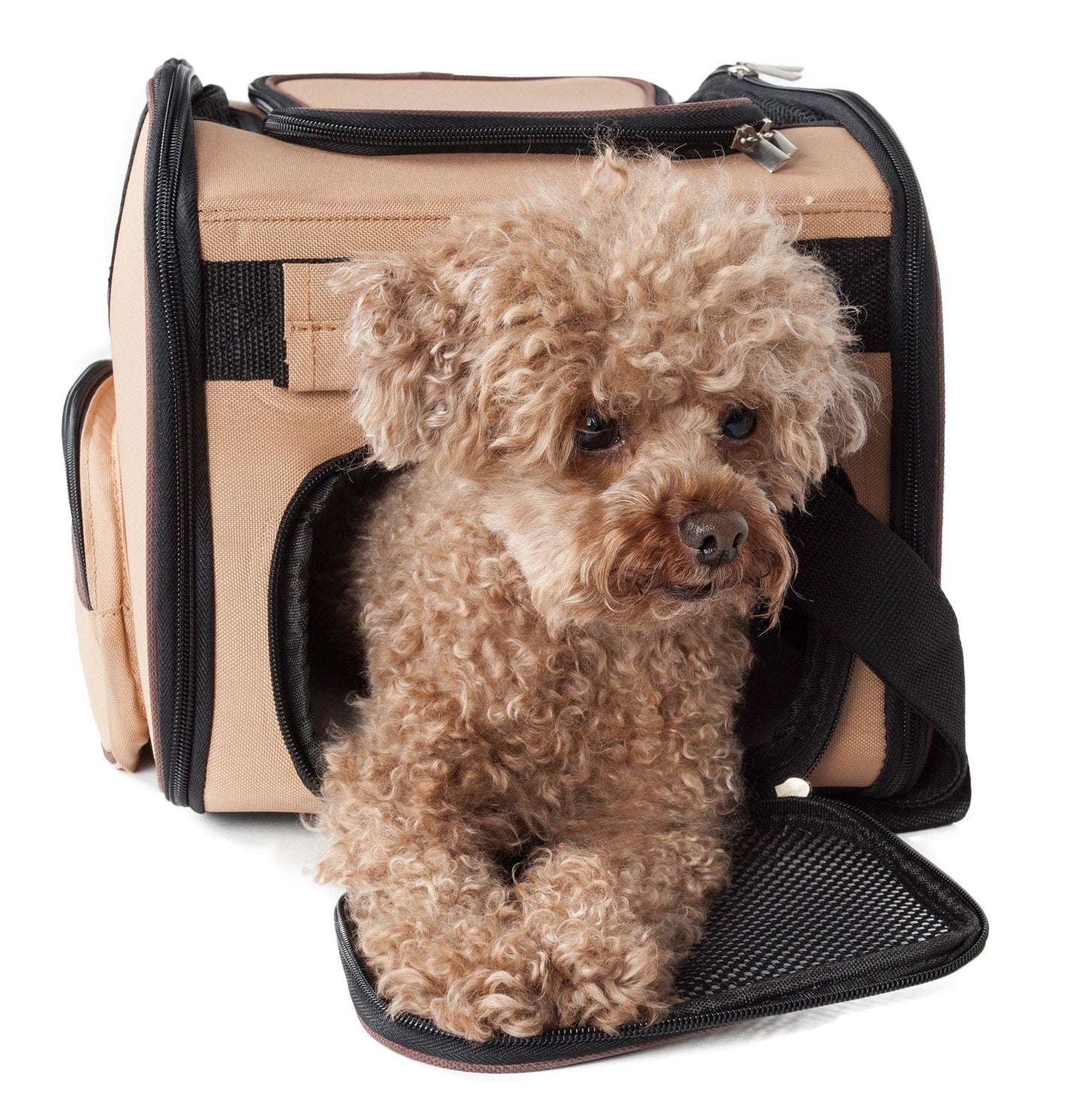 Pet Life ® 'Sky-Max' Airline Approved Designer Sporty Collapsible Travel Fashion Pet Dog Carrier