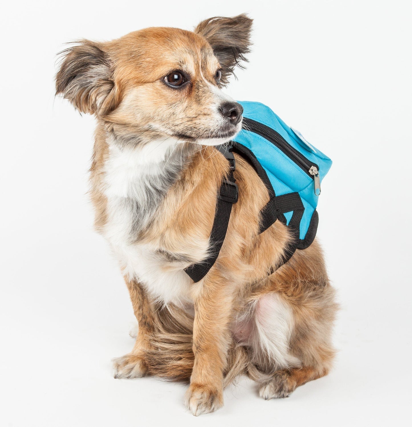 Pet Life ® 'Waggler Hobbler' Large-Pocketed Animated Fashion Dog Harness Backpack