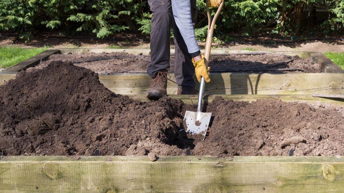Shovel turning dark screened topsoil in a garden bed