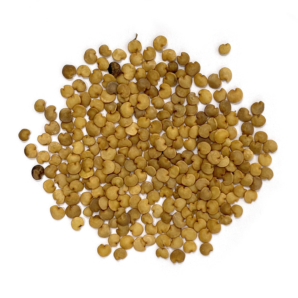 Purely Organic Long Purple Eggplant Seeds - USDA Organic