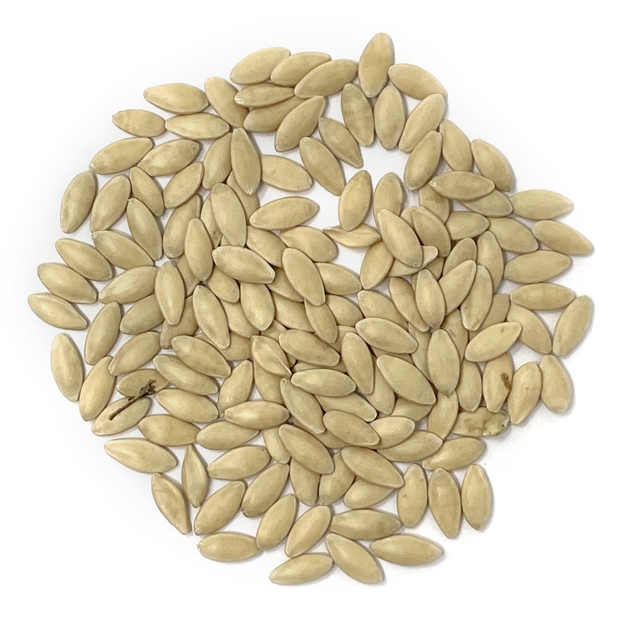 Purely Organic Marketmore 76 Cucumber Seeds - USDA Organic