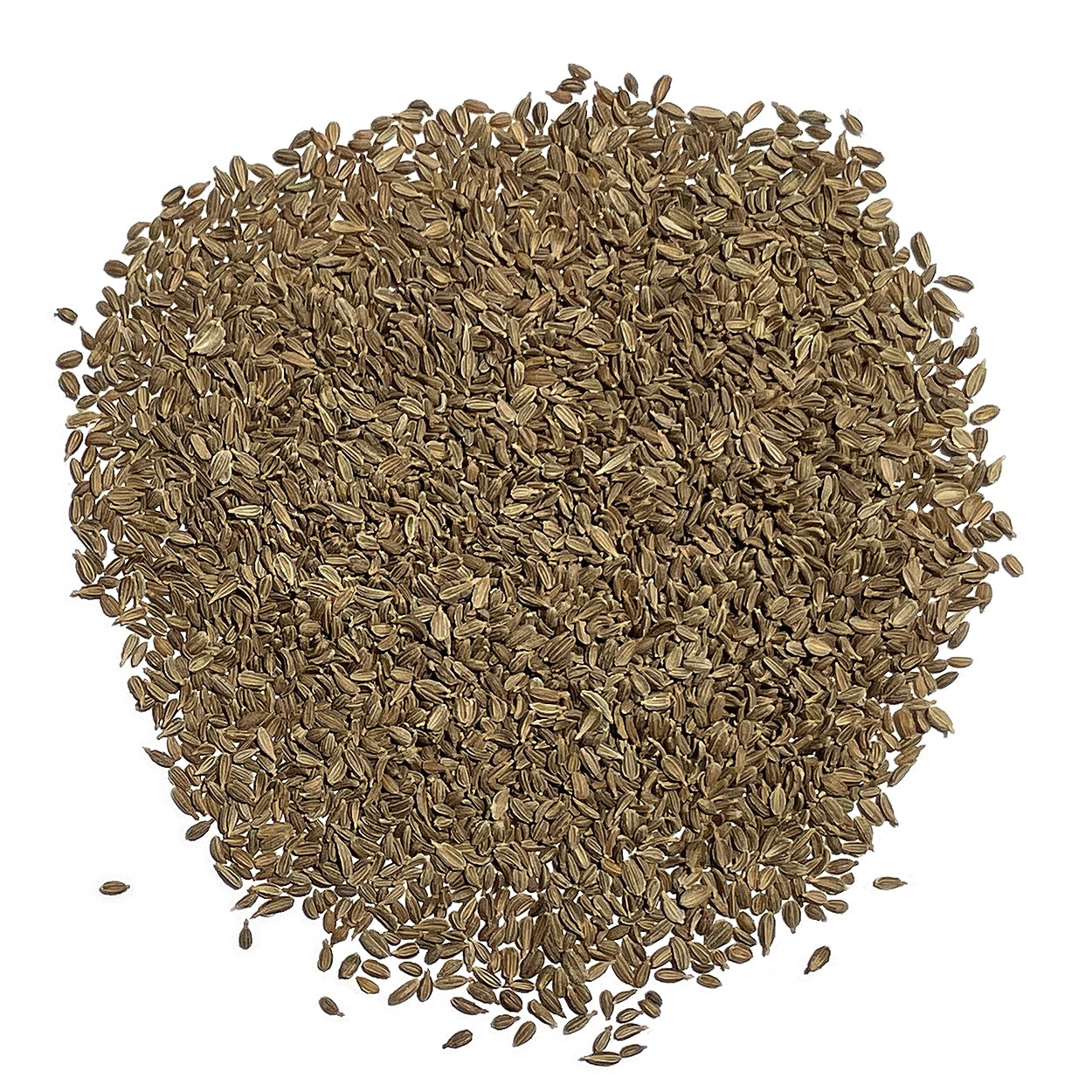 Purely Organic Rainbow Blend Carrot Seeds - USDA Organic