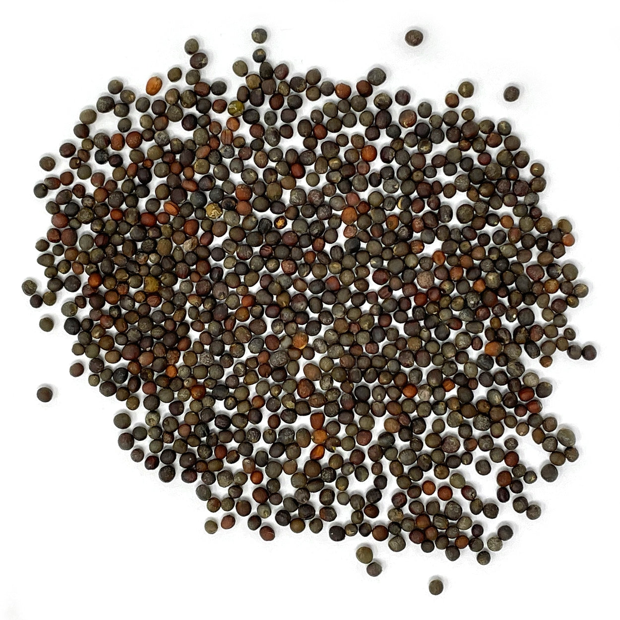 Purely Organic Waltham 29 Broccoli Seeds - USDA Organic