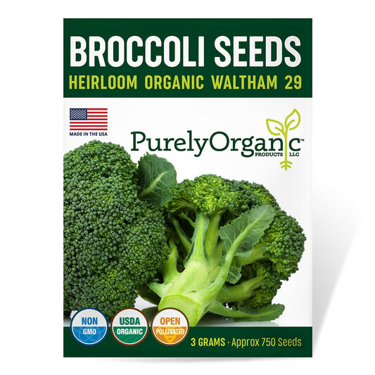 Purely Organic Waltham 29 Broccoli Seeds - USDA Organic