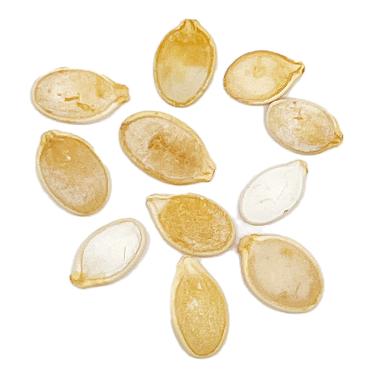 Purely Organic Cinderella Pumpkin Seeds - USDA Organic