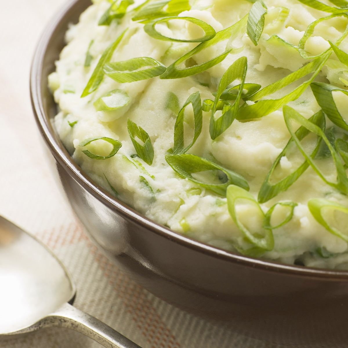 Purely Organic Bunching Evergreen Onion Seeds - USDA Organic