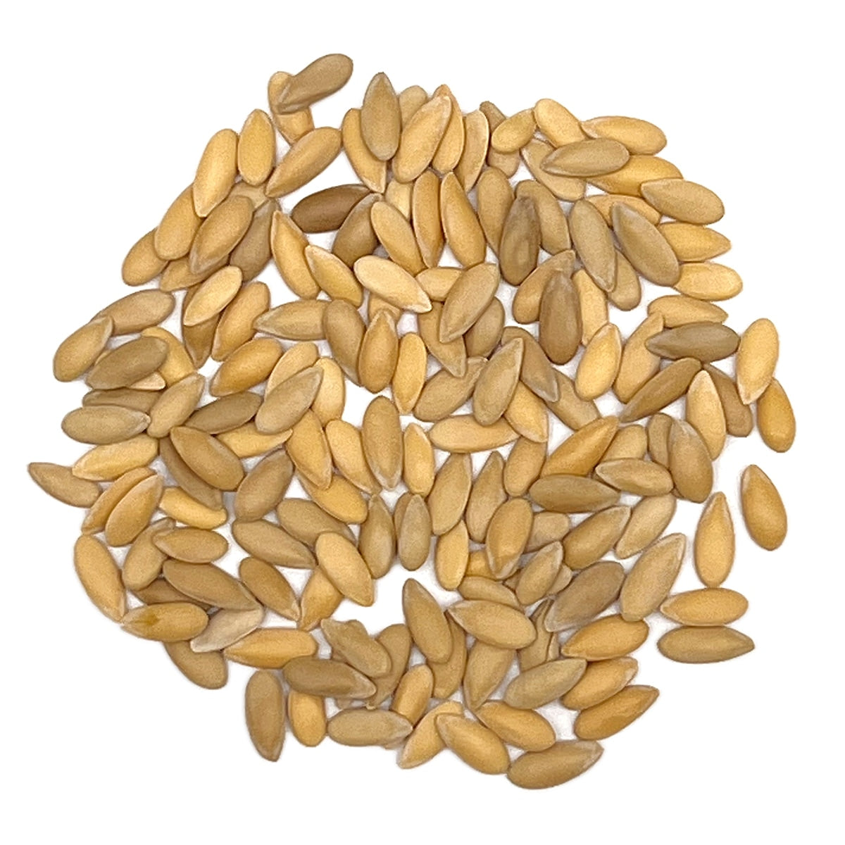 Purely Organic Hales Best Jumbo Cantaloupe Seeds - USDA Organic