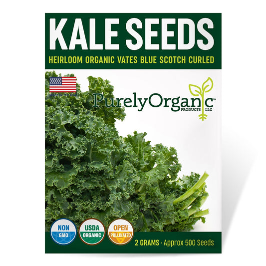 Purely Organic Vates Blue Scotch Curled Kale Seeds - USDA Organic