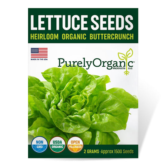 Purely Organic Buttercrunch Lettuce Seeds - USDA Organic