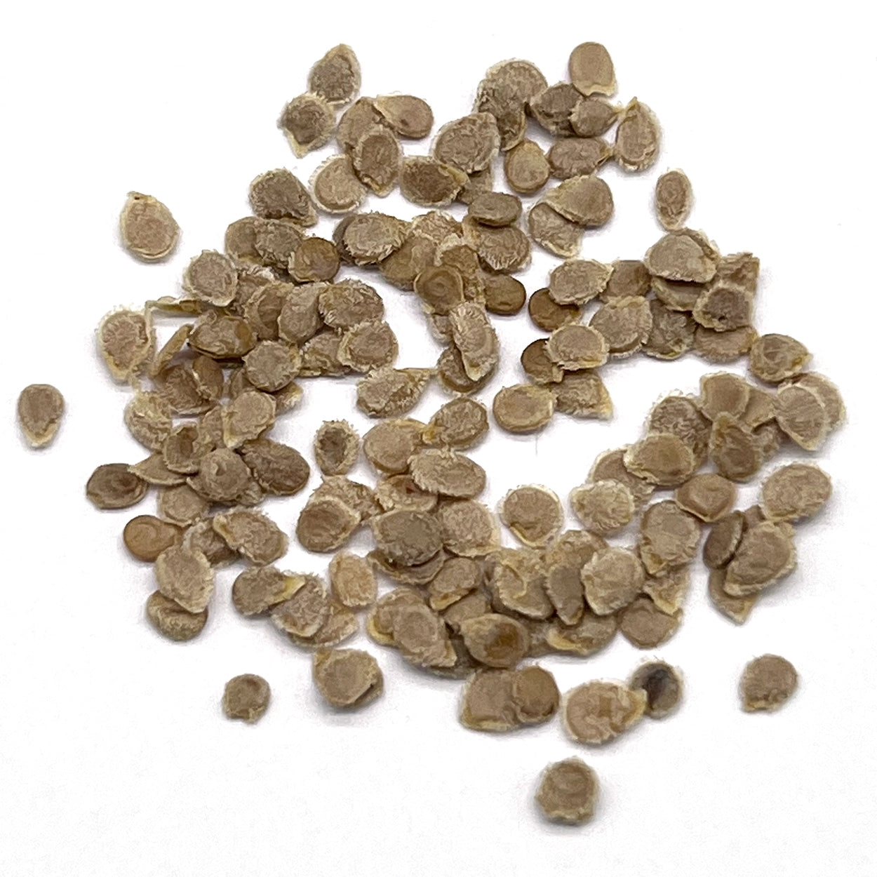 Purely Organic Roma Tomato Seeds - USDA Organic