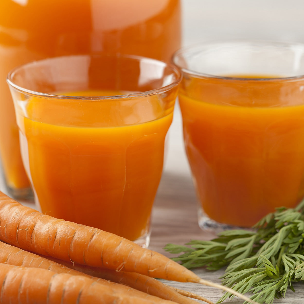 Purely Organic Scarlet Nantes Carrot Seeds - USDA Organic